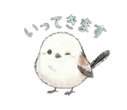 826692054