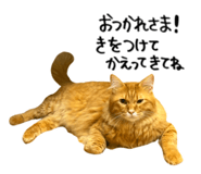 826693434