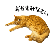 826693440