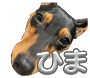 826694072