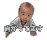 826694754
