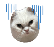 826708944