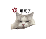 826709113