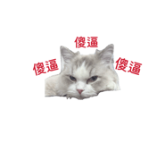 826709115