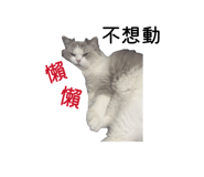 826709118