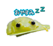 826715042