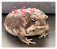 826715045