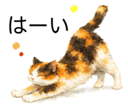 826720868