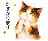 826720887