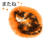 826720892