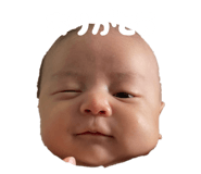 826723555