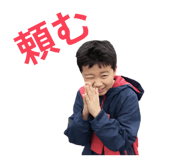 826724166