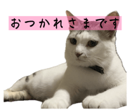826725530