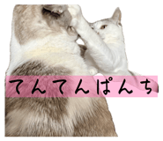 826725535