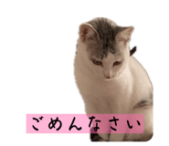 826725536