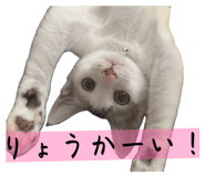 826725537