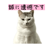 826725542
