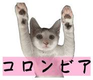 826725543