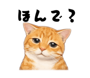 826762597