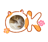 826777108