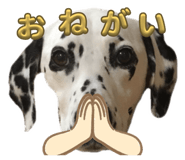 826787643