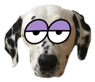 826787659