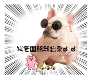 826788859