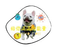 826788861