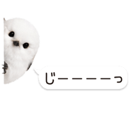 826790993