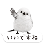 826790994
