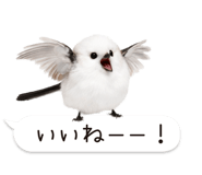 826790995