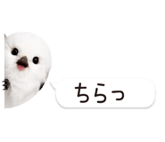 826791001
