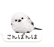 826791011