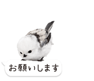 826791015