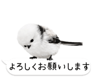 826791016