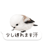 826791026