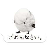 826791027