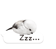 826791031