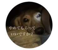 826791702