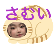 826791750