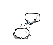 826820167