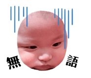 826841685