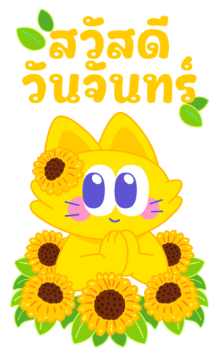 Sawasdee Cat สวัสดีแคท รูปที่ 1