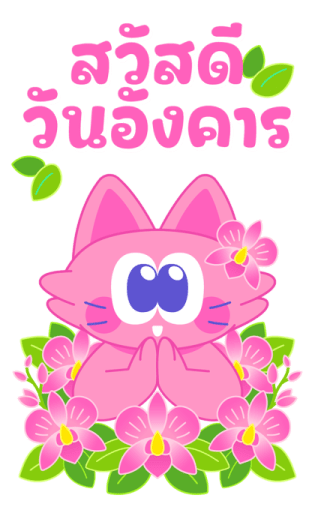 Sawasdee Cat สวัสดีแคท รูปที่ 2