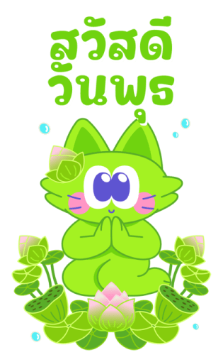 Sawasdee Cat สวัสดีแคท รูปที่ 3