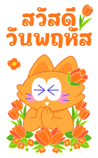 Sawasdee Cat สวัสดีแคท รูปที่ 4