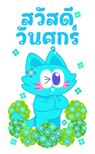 Sawasdee Cat สวัสดีแคท รูปที่ 5