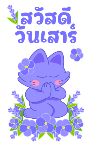 Sawasdee Cat สวัสดีแคท รูปที่ 6