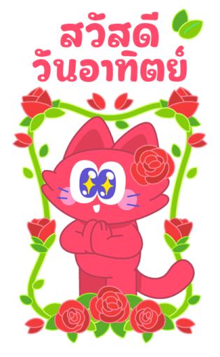 Sawasdee Cat สวัสดีแคท รูปที่ 7