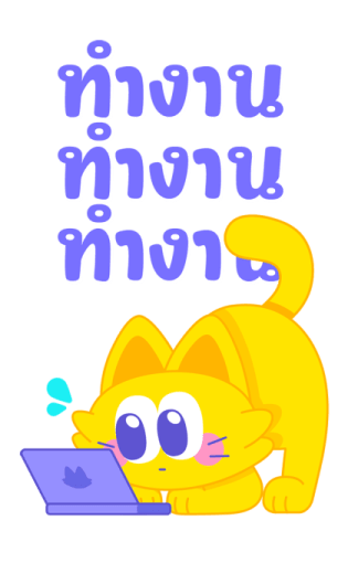 Sawasdee Cat สวัสดีแคท รูปที่ 8